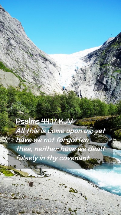 Picture 02 - Psalms 44:17 KJV Mobile Phone Wallpaper - All this is come upon us; yet have we not - Mobile Bible Verse Wallpaper