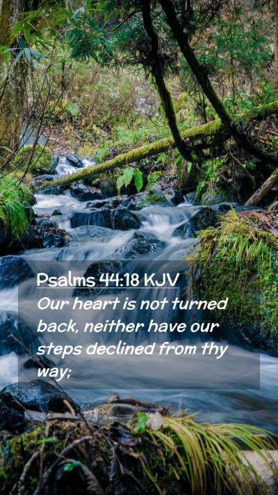 Picture 02 - Psalms 44:18 KJV Mobile Phone Wallpaper - Our heart is not turned back, neither have our - Mobile Bible Verse Wallpaper