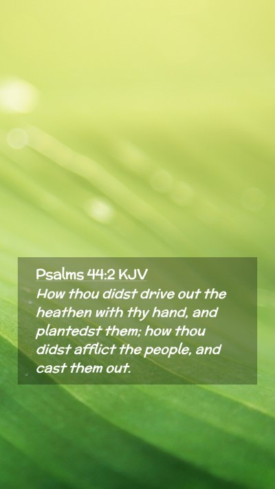 Picture 02 - Psalms 44:2 KJV Mobile Phone Wallpaper - How thou didst drive out the heathen with thy - Mobile Bible Verse Wallpaper
