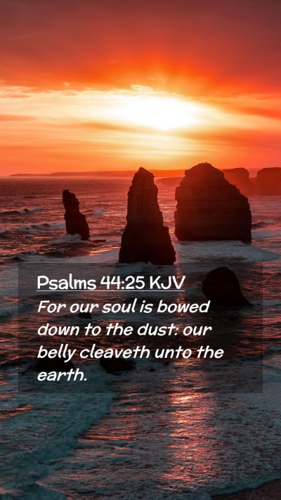 Picture 02 - Psalms 44:25 KJV Mobile Phone Wallpaper - For our soul is bowed down to the dust: our belly - Mobile Bible Verse Wallpaper