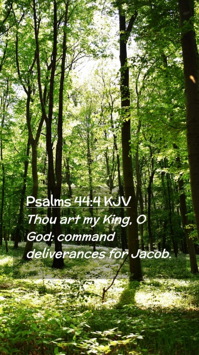 Picture 02 - Psalms 44:4 KJV Mobile Phone Wallpaper - Thou art my King, O God: command deliverances for - Mobile Bible Verse Wallpaper