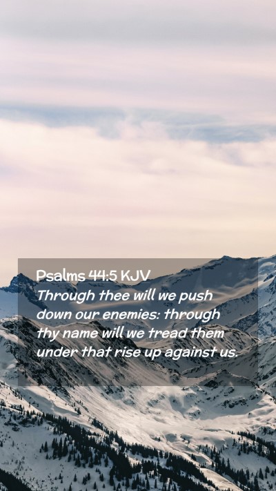 Picture 02 - Psalms 44:5 KJV Mobile Phone Wallpaper - Through thee will we push down our enemies: - Mobile Bible Verse Wallpaper