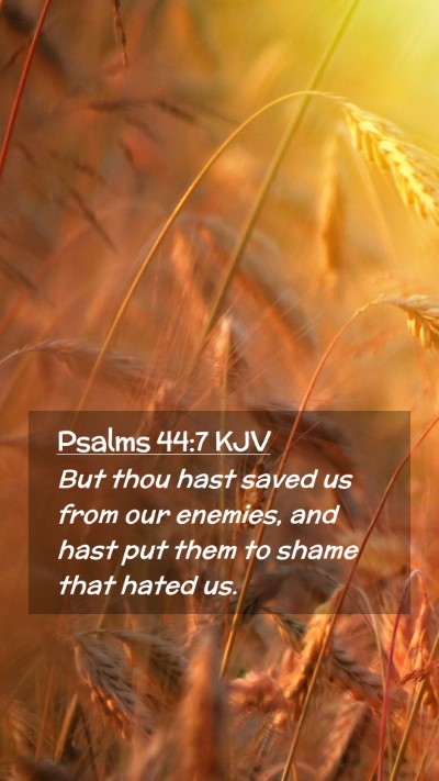 Picture 02 - Psalms 44:7 KJV Mobile Phone Wallpaper - But thou hast saved us from our enemies, and hast - Mobile Bible Verse Wallpaper