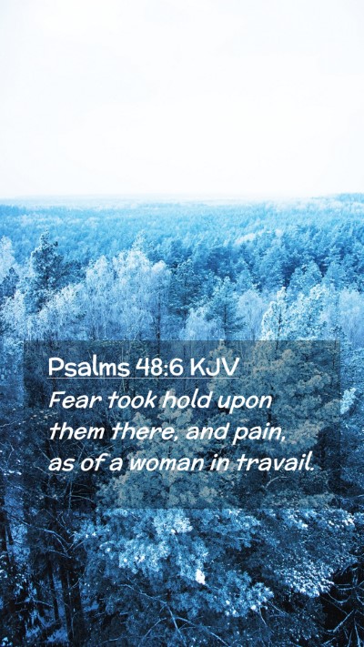 Picture 02 - Psalms 48:6 KJV Mobile Phone Wallpaper - Fear took hold upon them there, and pain, as of a - Mobile Bible Verse Wallpaper