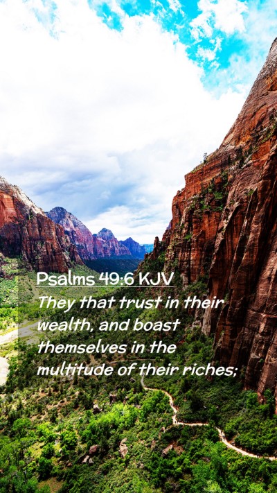 Picture 02 - Psalms 49:6 KJV Mobile Phone Wallpaper - They that trust in their wealth, and boast - Mobile Bible Verse Wallpaper