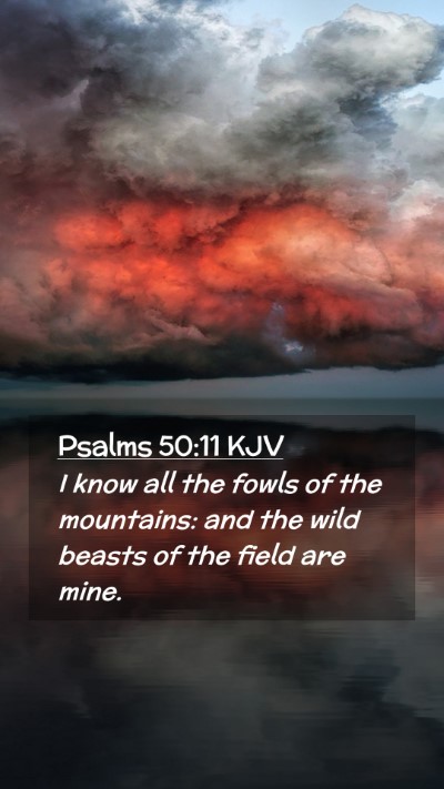 Picture 02 - Psalms 50:11 KJV Mobile Phone Wallpaper - I know all the fowls of the mountains: and the - Mobile Bible Verse Wallpaper