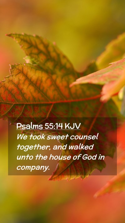 Picture 02 - Psalms 55:14 KJV Mobile Phone Wallpaper - We took sweet counsel together, and walked unto - Mobile Bible Verse Wallpaper