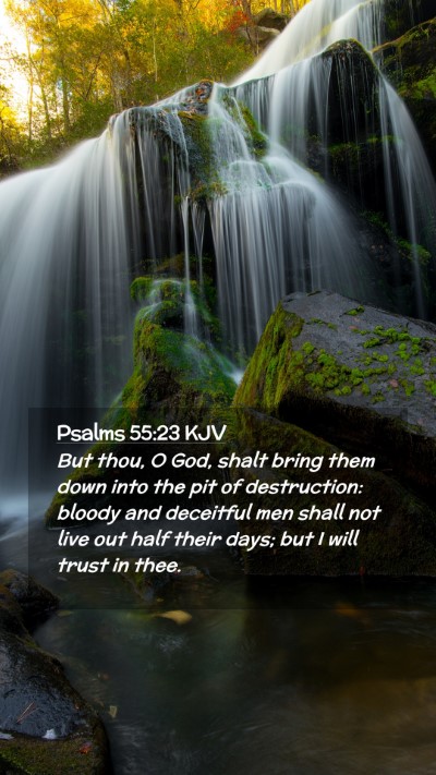 Picture 02 - Psalms 55:23 KJV Mobile Phone Wallpaper - But thou, O God, shalt bring them down into the - Mobile Bible Verse Wallpaper