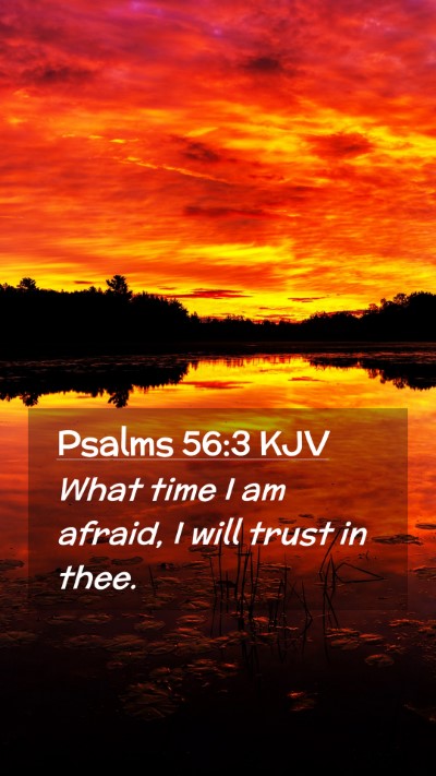 Picture 02 - Psalms 56:3 KJV Mobile Phone Wallpaper - What time I am afraid, I will trust in - Mobile Bible Verse Wallpaper