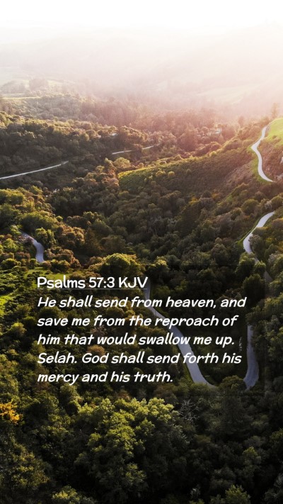 Picture 02 - Psalms 57:3 KJV Mobile Phone Wallpaper - He shall send from heaven, and save me from the - Mobile Bible Verse Wallpaper