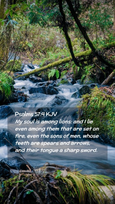 Picture 02 - Psalms 57:4 KJV Mobile Phone Wallpaper - My soul is among lions: and I lie even among them - Mobile Bible Verse Wallpaper