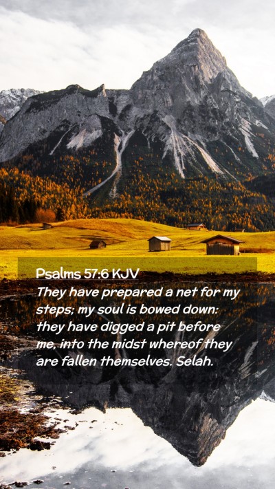 Picture 02 - Psalms 57:6 KJV Mobile Phone Wallpaper - They have prepared a net for my steps; my soul is - Mobile Bible Verse Wallpaper