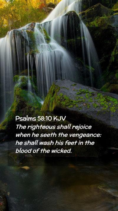 Picture 02 - Psalms 58:10 KJV Mobile Phone Wallpaper - The righteous shall rejoice when he seeth the - Mobile Bible Verse Wallpaper
