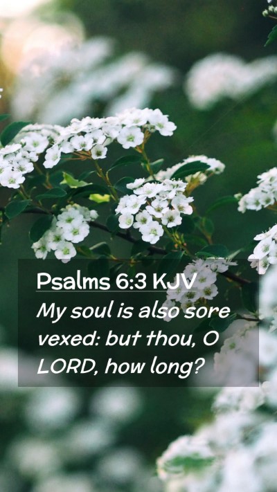 Picture 02 - Psalms 6:3 KJV Mobile Phone Wallpaper - My soul is also sore vexed: but thou, O LORD, how - Mobile Bible Verse Wallpaper