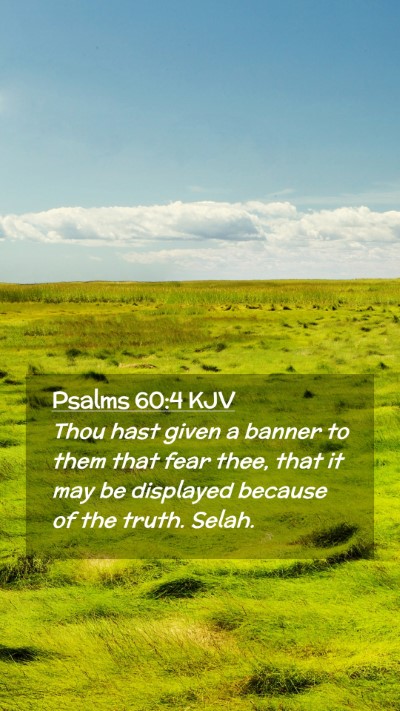 Picture 02 - Psalms 60:4 KJV Mobile Phone Wallpaper - Thou hast given a banner to them that fear thee, - Mobile Bible Verse Wallpaper