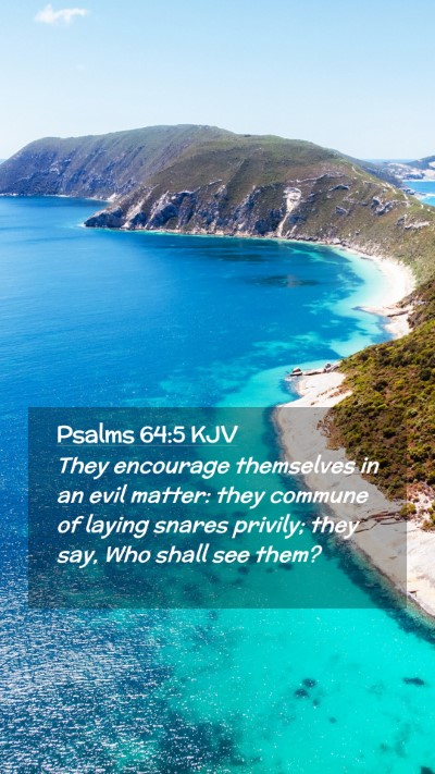 Picture 02 - Psalms 64:5 KJV Mobile Phone Wallpaper - They encourage themselves in an evil matter: they - Mobile Bible Verse Wallpaper