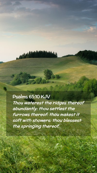 Picture 02 - Psalms 65:10 KJV Mobile Phone Wallpaper - Thou waterest the ridges thereof abundantly: thou - Mobile Bible Verse Wallpaper