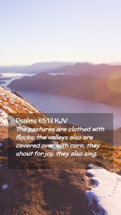 Picture 02 - Psalms 65:13 KJV Mobile Phone Wallpaper - The pastures are clothed with flocks; the valleys - Mobile Bible Verse Wallpaper