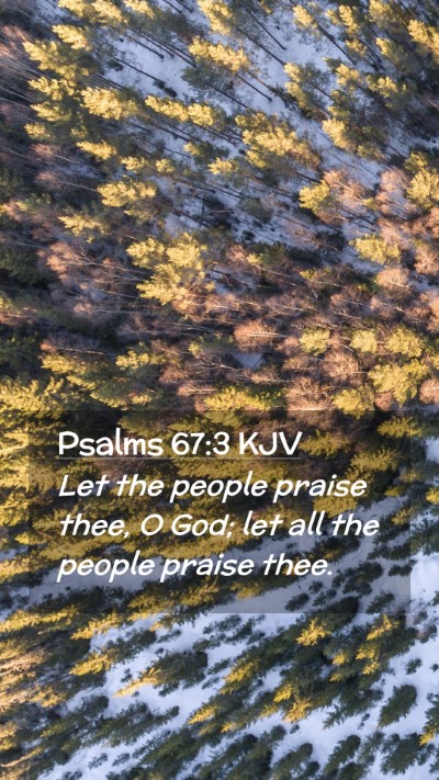 Picture 02 - Psalms 67:3 KJV Mobile Phone Wallpaper - Let the people praise thee, O God; let all the - Mobile Bible Verse Wallpaper