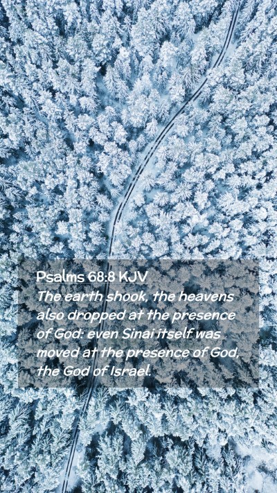 Picture 02 - Psalms 68:8 KJV Mobile Phone Wallpaper - The earth shook, the heavens also dropped at the - Mobile Bible Verse Wallpaper