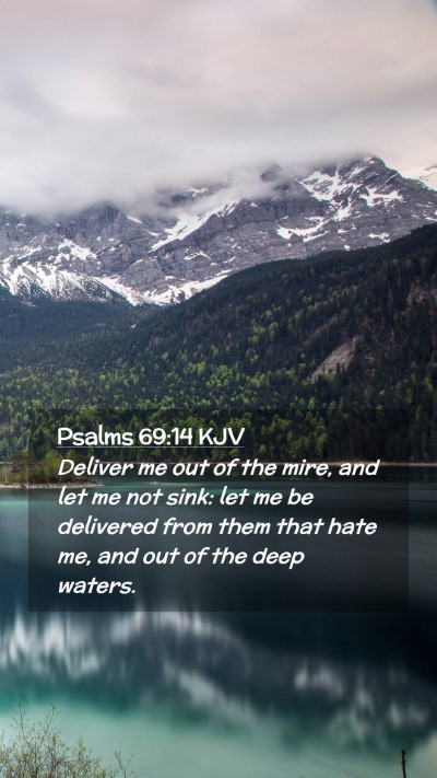 Picture 02 - Psalms 69:14 KJV Mobile Phone Wallpaper - Deliver me out of the mire, and let me not sink: - Mobile Bible Verse Wallpaper