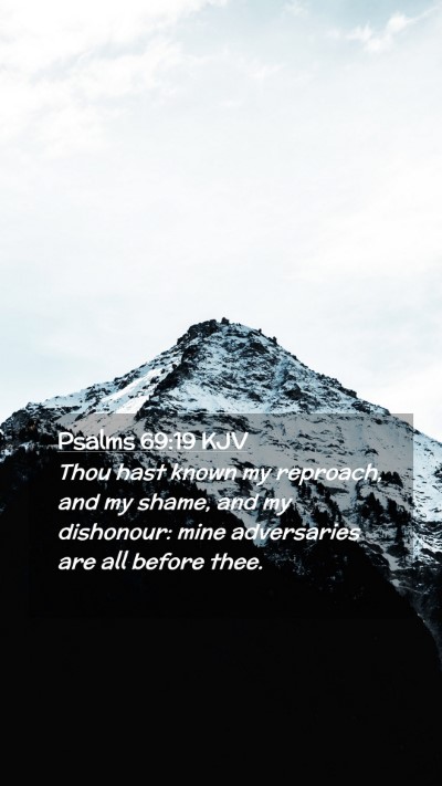 Picture 02 - Psalms 69:19 KJV Mobile Phone Wallpaper - Thou hast known my reproach, and my shame, and my - Mobile Bible Verse Wallpaper