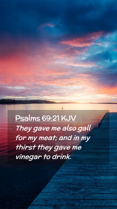 Picture 02 - Psalms 69:21 KJV Mobile Phone Wallpaper - They gave me also gall for my meat; and in my - Mobile Bible Verse Wallpaper