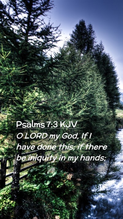 Picture 02 - Psalms 7:3 KJV Mobile Phone Wallpaper - O LORD my God, If I have done this; if there be - Mobile Bible Verse Wallpaper