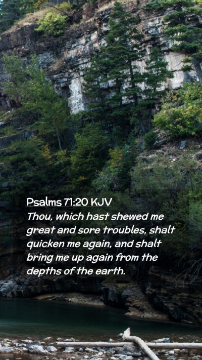 Picture 02 - Psalms 71:20 KJV Mobile Phone Wallpaper - Thou, which hast shewed me great and sore - Mobile Bible Verse Wallpaper