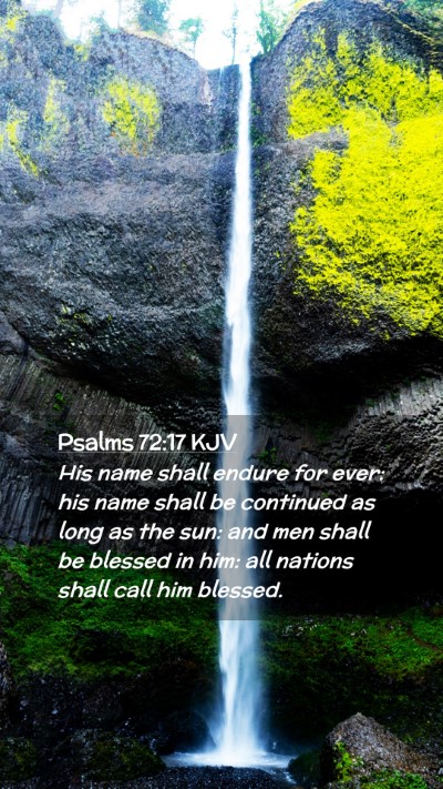 Picture 02 - Psalms 72:17 KJV Mobile Phone Wallpaper - His name shall endure for ever: his name shall be - Mobile Bible Verse Wallpaper