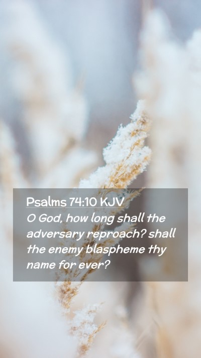Picture 02 - Psalms 74:10 KJV Mobile Phone Wallpaper - O God, how long shall the adversary reproach? - Mobile Bible Verse Wallpaper