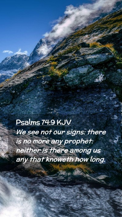 Picture 02 - Psalms 74:9 KJV Mobile Phone Wallpaper - We see not our signs: there is no more any - Mobile Bible Verse Wallpaper