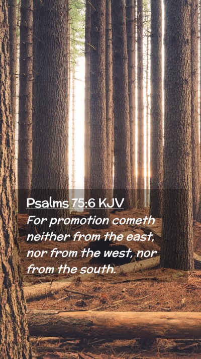 Picture 02 - Psalms 75:6 KJV Mobile Phone Wallpaper - For promotion cometh neither from the east, nor - Mobile Bible Verse Wallpaper