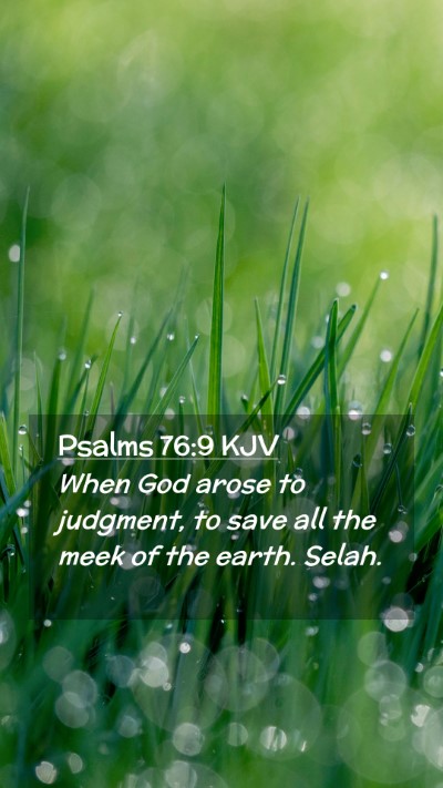 Picture 02 - Psalms 76:9 KJV Mobile Phone Wallpaper - When God arose to judgment, to save all the meek - Mobile Bible Verse Wallpaper