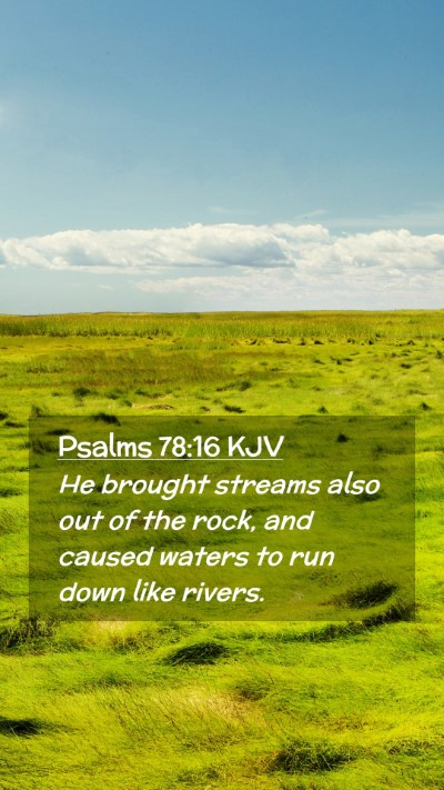 Picture 02 - Psalms 78:16 KJV Mobile Phone Wallpaper - He brought streams also out of the rock, and - Mobile Bible Verse Wallpaper