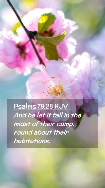Picture 02 - Psalms 78:28 KJV Mobile Phone Wallpaper - And he let it fall in the midst of their camp, - Mobile Bible Verse Wallpaper