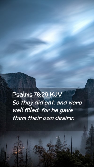 Picture 02 - Psalms 78:29 KJV Mobile Phone Wallpaper - So they did eat, and were well filled: for he - Mobile Bible Verse Wallpaper