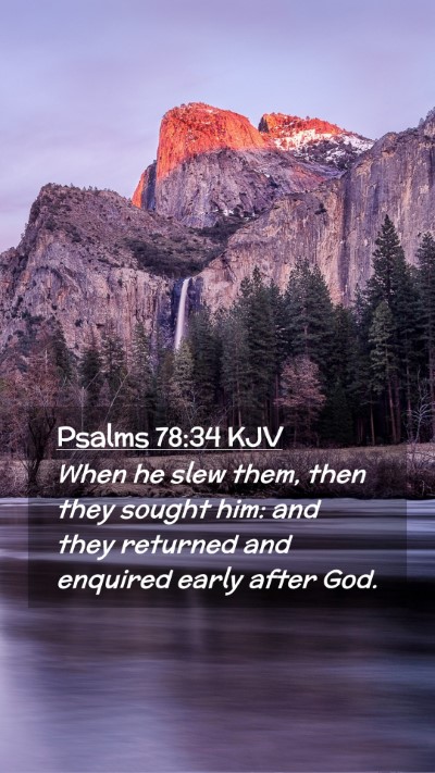 Picture 02 - Psalms 78:34 KJV Mobile Phone Wallpaper - When he slew them, then they sought him: and they - Mobile Bible Verse Wallpaper