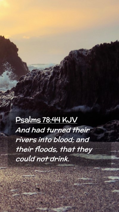 Picture 02 - Psalms 78:44 KJV Mobile Phone Wallpaper - And had turned their rivers into blood; and their - Mobile Bible Verse Wallpaper
