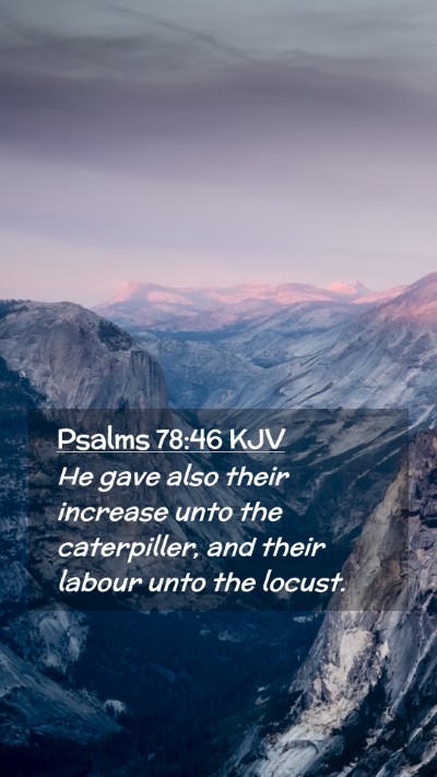 Picture 02 - Psalms 78:46 KJV Mobile Phone Wallpaper - He gave also their increase unto the caterpiller, - Mobile Bible Verse Wallpaper