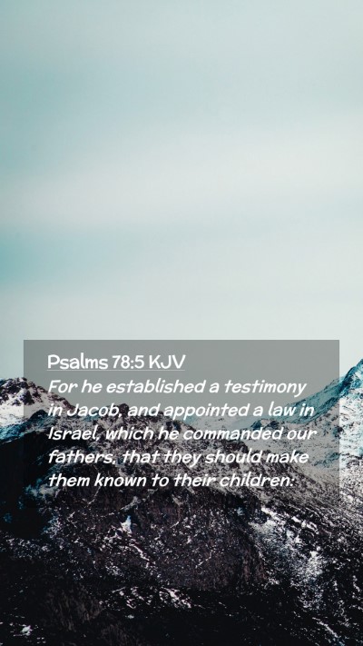 Picture 02 - Psalms 78:5 KJV Mobile Phone Wallpaper - For he established a testimony in Jacob, and - Mobile Bible Verse Wallpaper