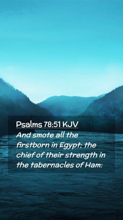 Picture 02 - Psalms 78:51 KJV Mobile Phone Wallpaper - And smote all the firstborn in Egypt; the chief - Mobile Bible Verse Wallpaper