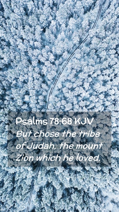 Picture 02 - Psalms 78:68 KJV Mobile Phone Wallpaper - But chose the tribe of Judah, the mount Zion - Mobile Bible Verse Wallpaper
