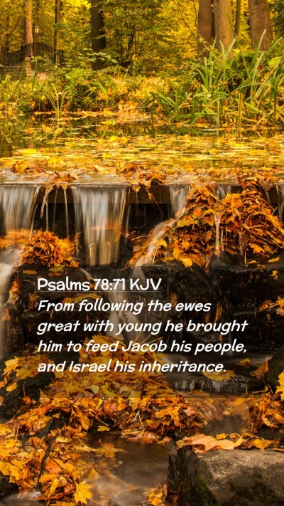 Picture 02 - Psalms 78:71 KJV Mobile Phone Wallpaper - From following the ewes great with young he - Mobile Bible Verse Wallpaper