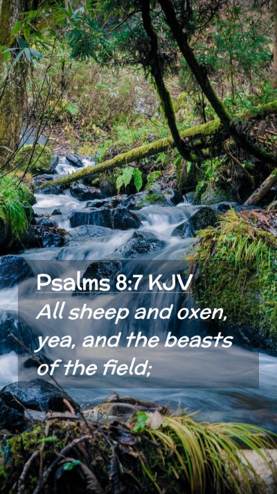Picture 02 - Psalms 8:7 KJV Mobile Phone Wallpaper - All sheep and oxen, yea, and the beasts of the - Mobile Bible Verse Wallpaper