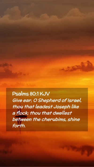 Picture 02 - Psalms 80:1 KJV Mobile Phone Wallpaper - Give ear, O Shepherd of Israel, thou that leadest - Mobile Bible Verse Wallpaper