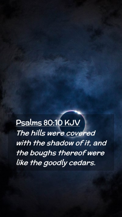 Picture 02 - Psalms 80:10 KJV Mobile Phone Wallpaper - The hills were covered with the shadow of it, and - Mobile Bible Verse Wallpaper