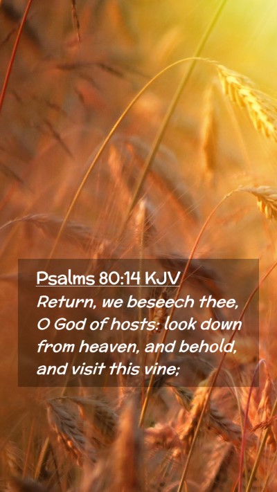 Picture 02 - Psalms 80:14 KJV Mobile Phone Wallpaper - Return, we beseech thee, O God of hosts: look - Mobile Bible Verse Wallpaper