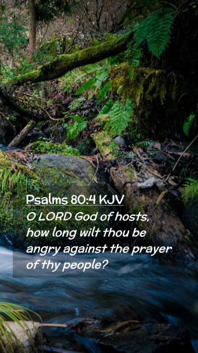 Picture 02 - Psalms 80:4 KJV Mobile Phone Wallpaper - O LORD God of hosts, how long wilt thou be angry - Mobile Bible Verse Wallpaper