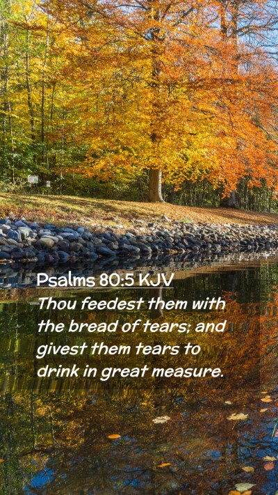 Picture 02 - Psalms 80:5 KJV Mobile Phone Wallpaper - Thou feedest them with the bread of tears; and - Mobile Bible Verse Wallpaper